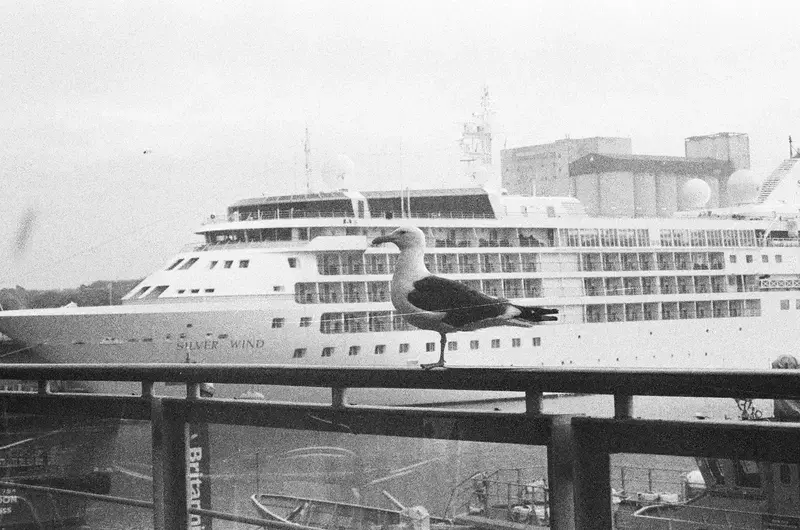 A black-and-white ferry moored beside an industrial harbour building.