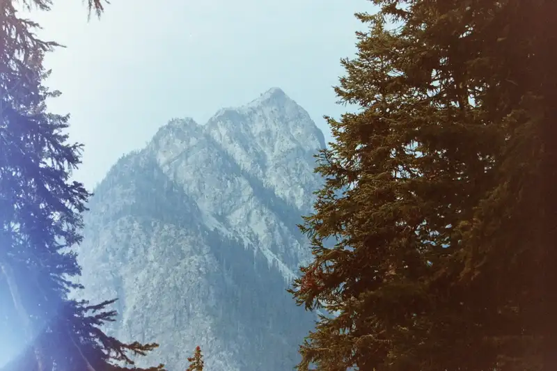 A craggy alpine peak framed by evergreen trees.