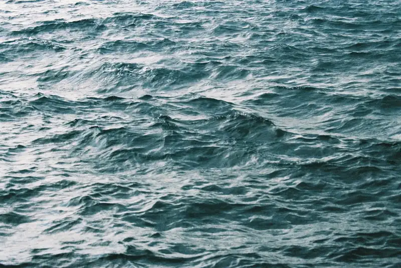 Wind-rippled blue-green seawater.
